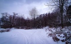 Góra Chełm